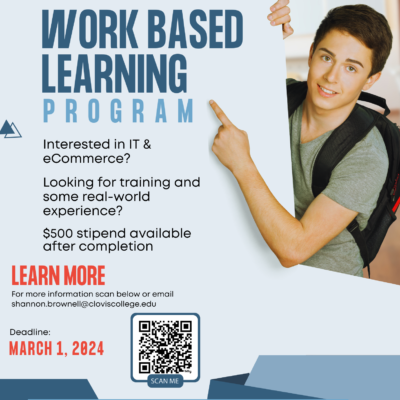IT eCommerce Program Flyer_1